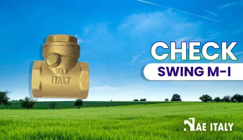 CHECK SWING BRONCE M-I  1 VAE ITALY